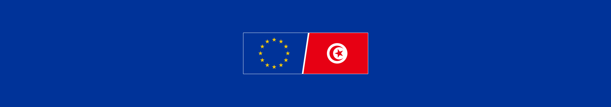 ue-tunisie_Banner_2048x360